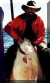 hali1.jpg (279927 bytes)